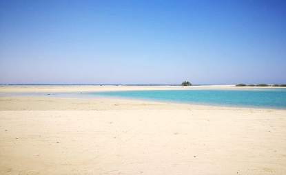 Picture of EXCURSION TO NEVERLAND