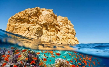 Picture of BOAT TRIP TO RAS MOHAMMED