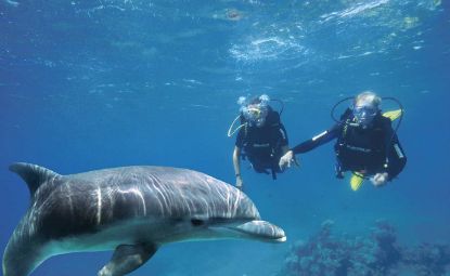 Picture of ESCURSIONE IN BARCA ISOLA DI TIRAN